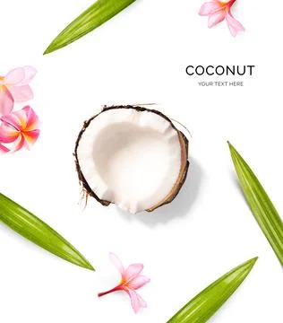 Creative layout made of coconut and tropical leaves Stock Photos