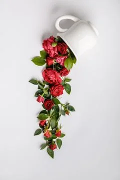 Creative layout made of coffee or tea cup with red roses on white background Stock Photos