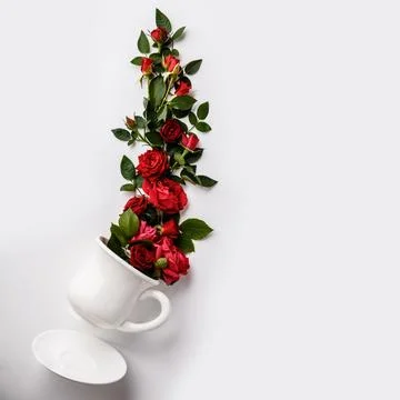 Creative layout made of coffee or tea cup with red roses on white background Stock Photos