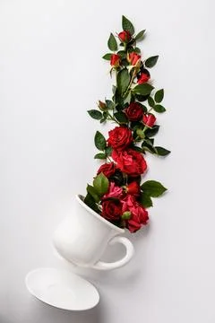 Creative layout made of coffee or tea cup with red roses on white background Stock Photos