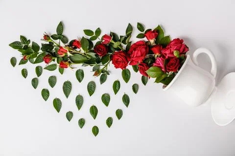 Creative layout made of coffee or tea cup with red roses on white background Stock Photos