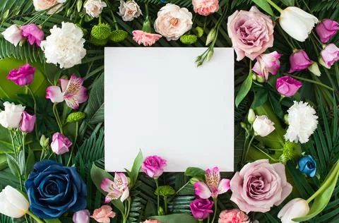 Creative layout made with colorful flowers and green leaves Stock Photos