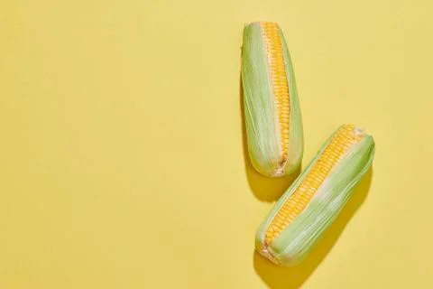 Creative layout made of corn. Flat lay. Food concept Stock Photos