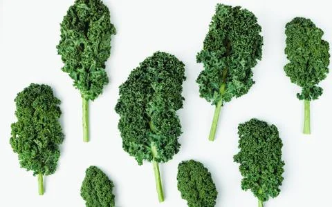 Creative layout made of curly kale leaf on colorful background. Flat lay. Foo Stock Photos