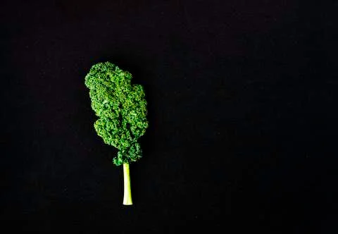Creative layout made of curly kale leaf on colorful background. Flat lay. Foo Stock Photos