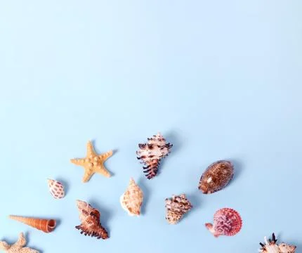 Creative layout made of different colorful seashells and greeting card with Stock Photos