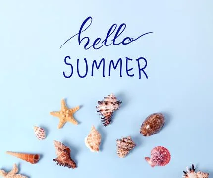 Creative layout made of different colorful seashells and greeting card with Stock Photos