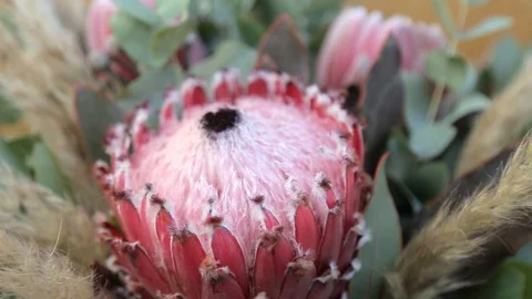 Creative layout made with flowers and white frame. Spring minimal concept Видео 127571277