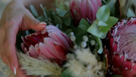 Creative layout made with flowers and white frame. Spring minimal concept Видео 127573828