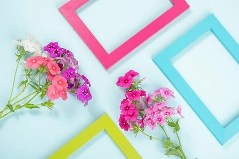Creative layout made of flowers and bright colored frames on blue. Spring and Stock Photos