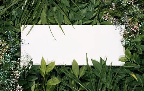 Creative layout made of flowers and  green leaves with white paper card note. Stock Photos