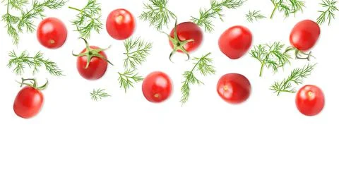 Creative layout made of fresh raw tomato and dill Stock-Fotos