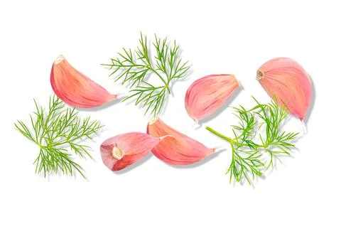 Creative layout made of fresh raw vegetables Stock Photos