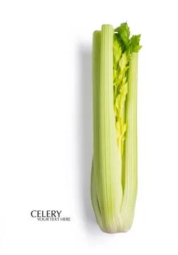 Creative layout made of green celery. Flat lay with copy space. Fresh food co Photos