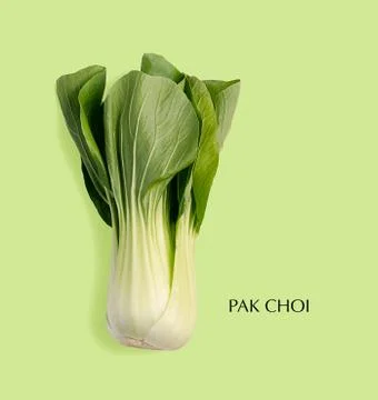 Creative layout made of green Pak Choi. Flat lay with copy space. Fresh food  Stock Photos