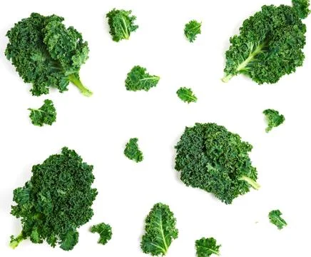 Creative layout made of kale. Flat lay. Healthy food concept. Stock-Fotos