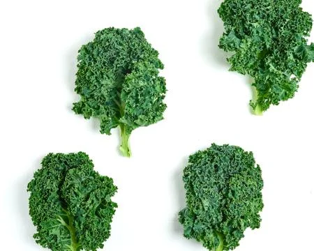 Creative layout made of kale. Flat lay. Healthy food concept. Stock Photos