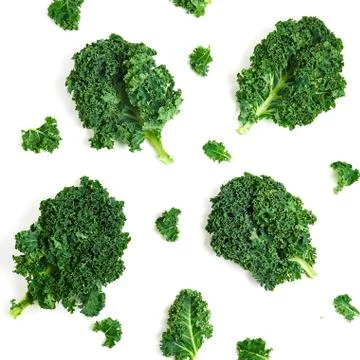 Creative layout made of kale. Flat lay. Healthy food concept. Stock Photos