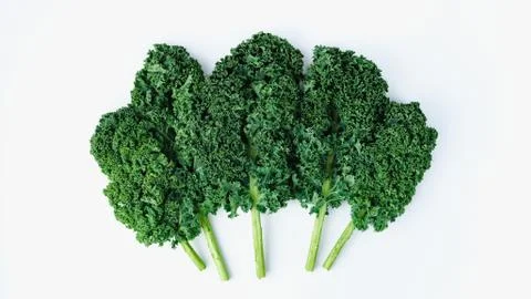 Creative layout made of kale. Flat lay. Food concept. Foto stock