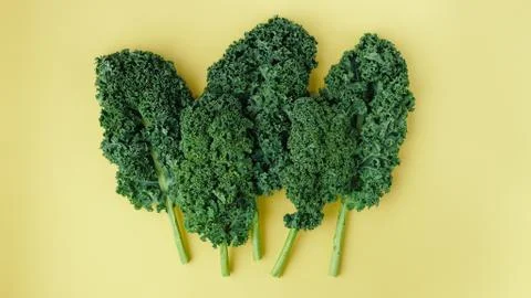 Creative layout made of kale. Flat lay. Food concept. Stock Photos