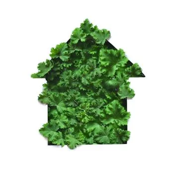 Creative layout made leaves with white paper frame. Flat lay. Na Foto stock