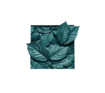 Creative layout made leaves with white paper frame. Flat lay. Nature concept Foto stock