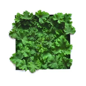 Creative layout made leaves with white paper frame. Flat lay. Nature concept Foto stock