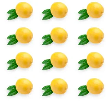 Creative layout made of lemon and leaves. Flat lay. Food concept. Lemon on wh Stock Photos