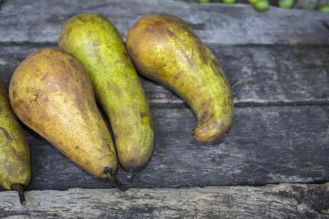 Creative layout made of pear Stock Photos