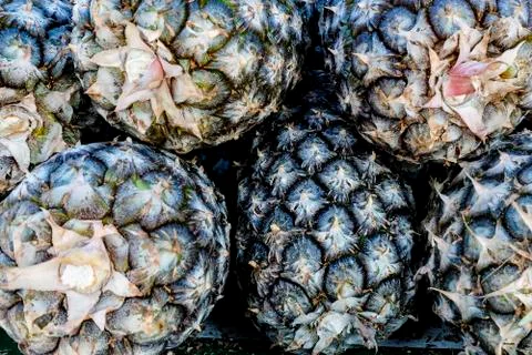 Creative layout made of pineapple. Food concept Stock Photos