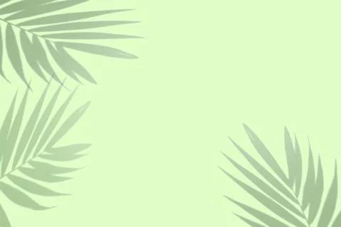 Creative layout made of shadow tropical leaves on green background. Minimal Foto stock