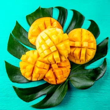 Creative layout made of summer tropical fruits mango and tropical leaves on Stock Photos