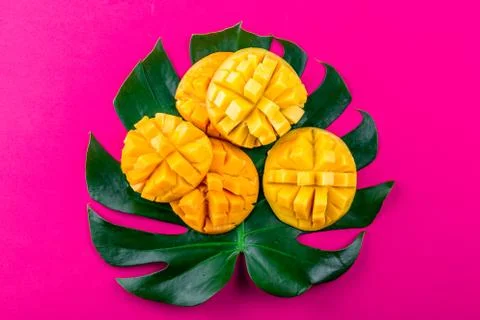 Creative layout made of summer tropical fruits mango and tropical leaves on pink Stock Photos