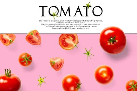 Creative layout made of tomato on the pink background. Creative flat lay set  Stock Photos