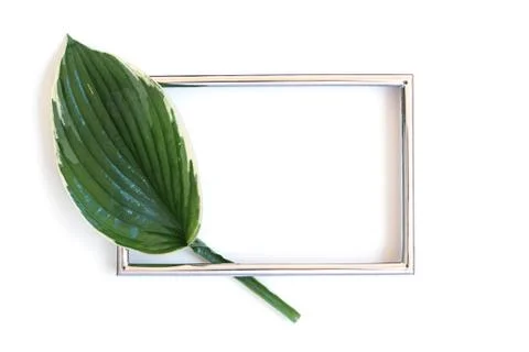 Creative layout made of tropical leave with metal card note Stock-Fotos