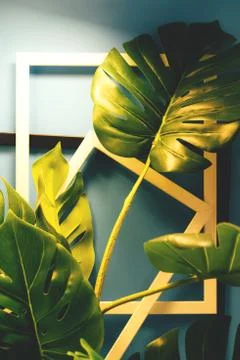 Creative layout made of tropical leaves with frames on the blue background. Stock Photos