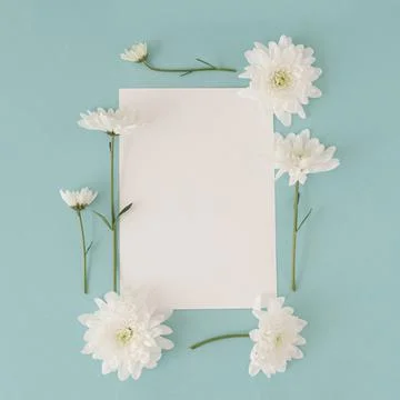 Creative layout made with white daisy flowers and paper card note. Stock Photos