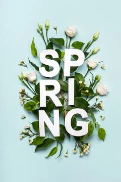 Creative layout from Paper word Spring, green leaves and flower buds on pastel Stock Photos