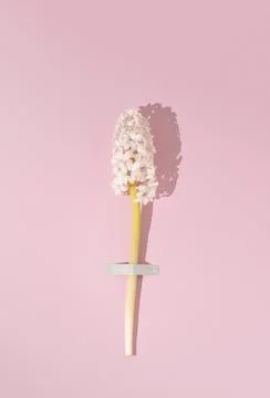 Creative layout with pastel pink flower hyacinth over soft pink background. Stock Photos