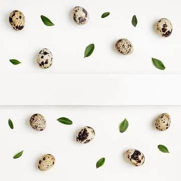 Creative layout pattern with quail eggs on white background. Easter minimal.. Stock Photos
