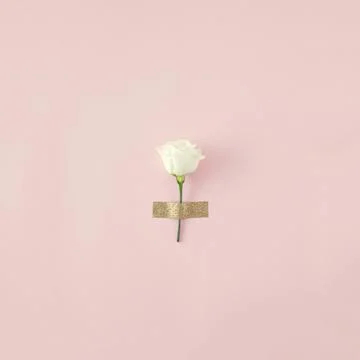 Creative layout with spring white flower against pastel beige background. Stock Photos