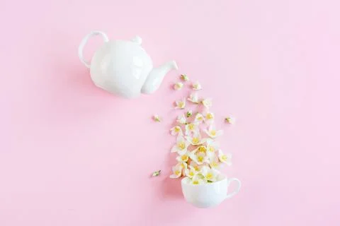 Creative layout of teapot and tea Cup with Jasmine flowers on a pink background Stock Photos