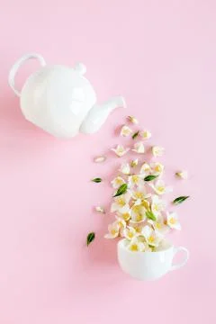 Creative layout of teapot and tea Cup with Jasmine flowers on a pink background Stock Photos
