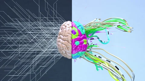 Creative left brain functions and right ... | Stock Video | Pond5