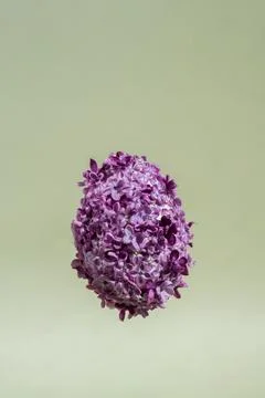 Creative Levitating flying Easter egg shape made of lilac spring petals flowers Stock Photos