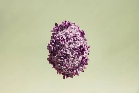 Creative Levitating flying Easter egg shape made of lilac spring petals flowers Stock Photos