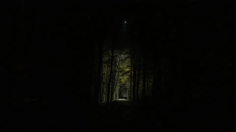 Creative lighting of a Forest landscape using a drone Vídeo Stock 143063215