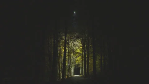 Creative lighting of a Forest landscape using a drone Vídeo Stock 143069601