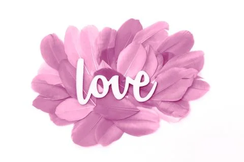 Creative love with violet feathers, flat lay Stock Photos