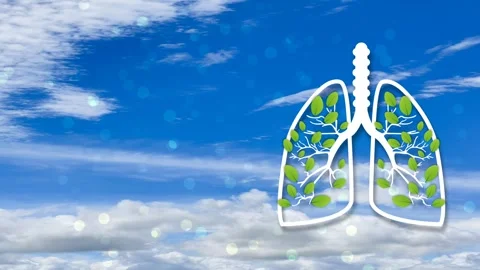 Creative lung icon on beautiful blue sky background Stock Footage 243188680